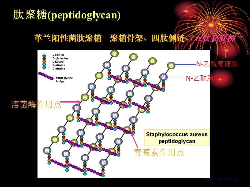 【医学研究】抗感染中国专家共识.ppt_第3页