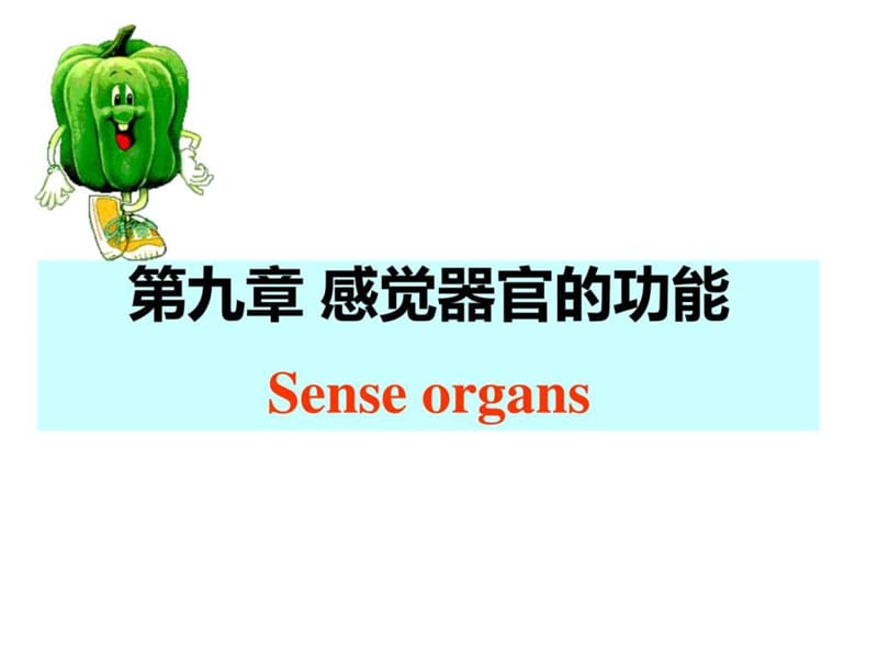 感觉器官的功能5学时.ppt_第2页