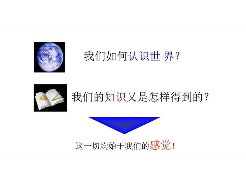 感觉器官的功能5学时.ppt_第3页