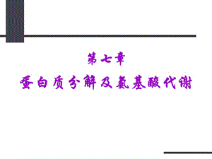 蛋白质分解及氨基酸代谢.ppt