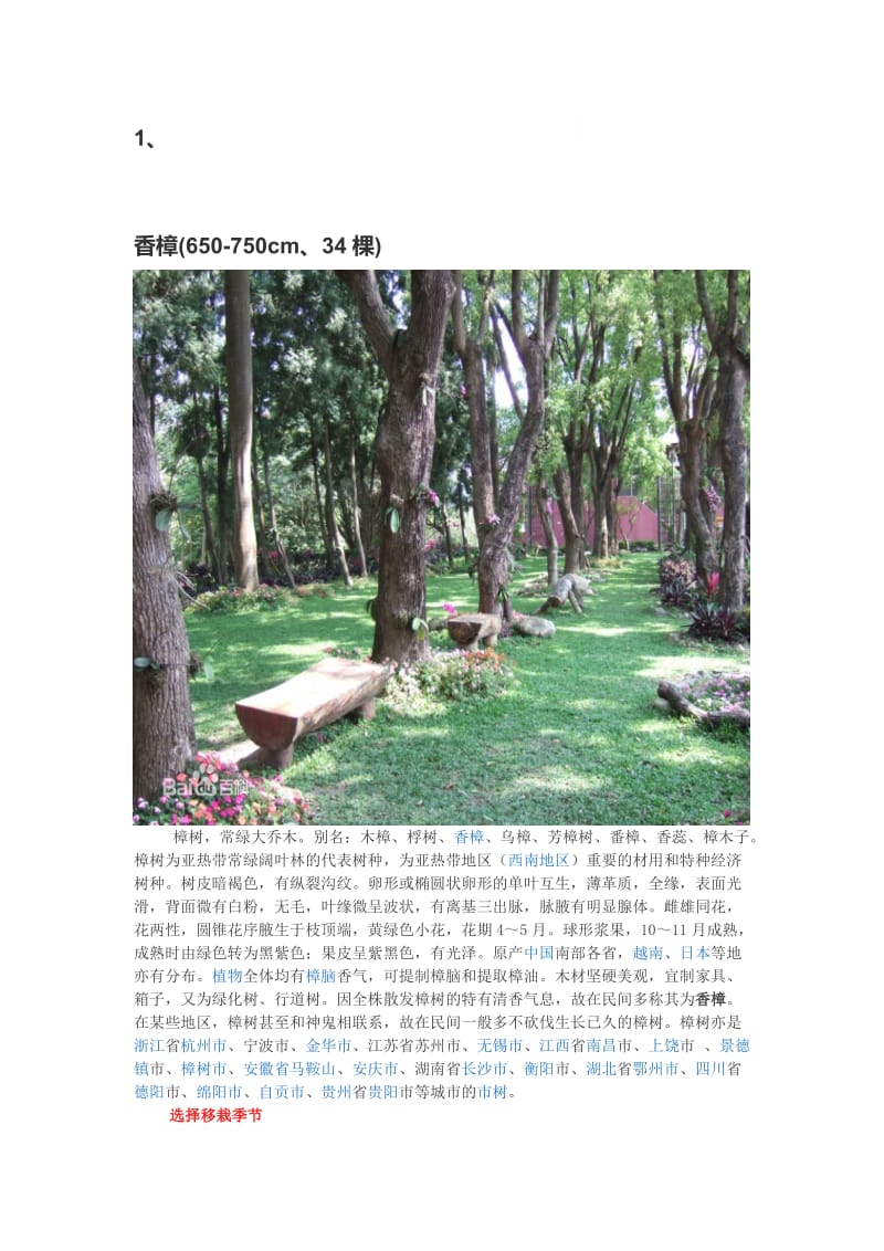 2019绿化种植方案.doc_第1页