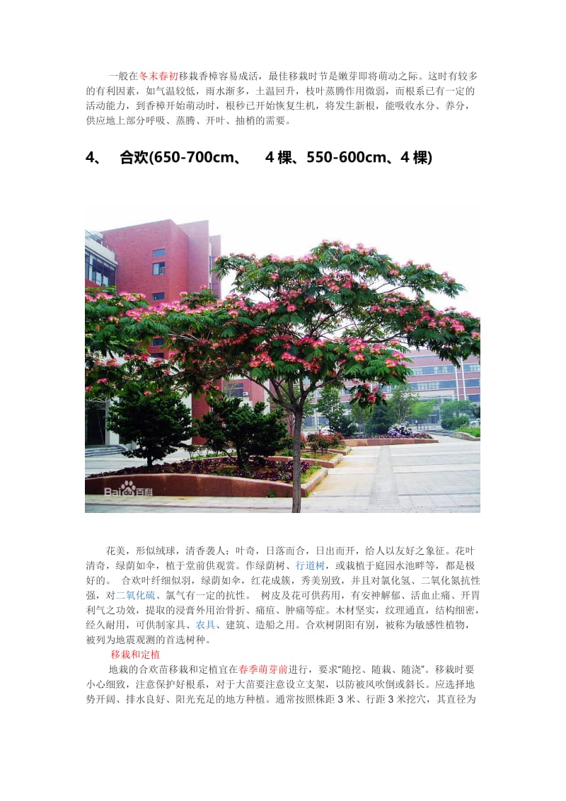 2019绿化种植方案.doc_第2页