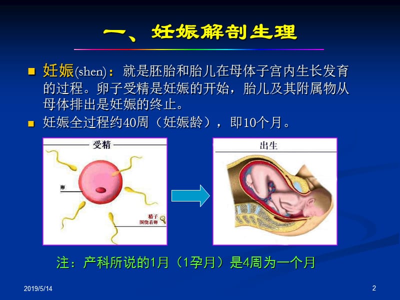 产科正常超声检查与诊断PPT课件.ppt_第2页