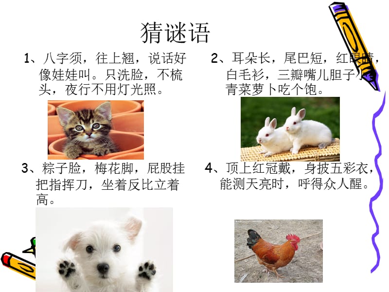 2019小学四年级作文——我喜欢的小动物.ppt_第1页