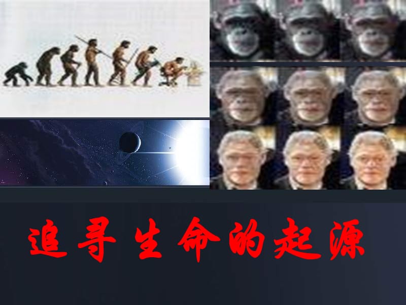 追寻生命的起源.ppt_第1页