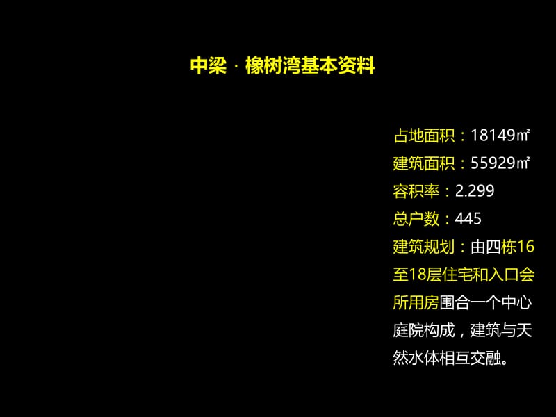 2012温州豪宅 中梁·橡树湾传播主题策略提案226P.ppt_第2页