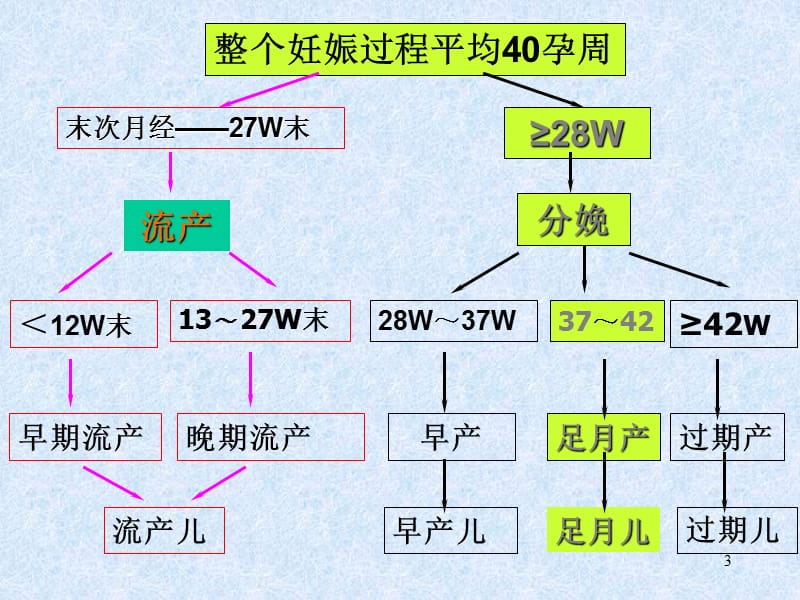 《正常分娩》PPT课件.ppt_第3页