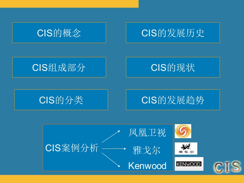 CIS简介及案例分析凤凰卫视雅戈尔.ppt_第2页