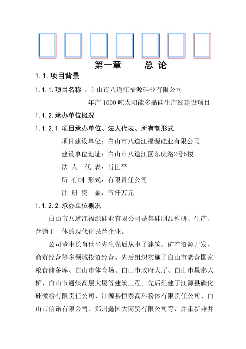 2019产1000吨太阳能多晶硅生产线建设项目可行性研究报告.doc_第1页