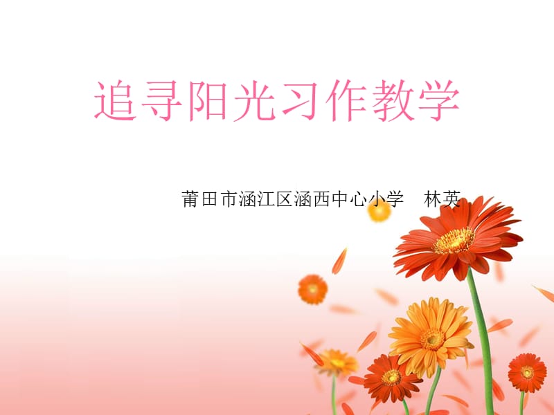 追寻阳光习作教学.ppt_第1页