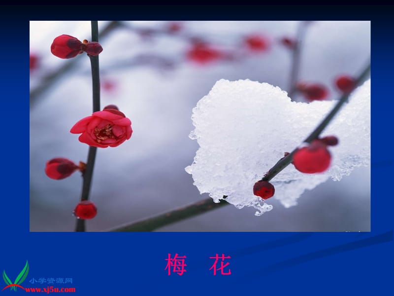 2019(人教新课标)三年级语文上册课件花钟5.ppt_第2页