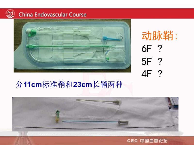 sfa病变腔内治疗的入路与器材选择_李鸣.ppt_第3页