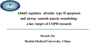 ABHD2调控肺泡Ⅱ型上皮细胞凋亡 在慢性阻塞性肺疾病发生中的作用.ppt