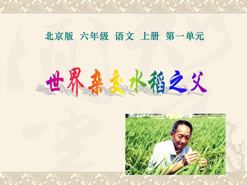 世界杂交水稻之父PPT课件.ppt_第1页