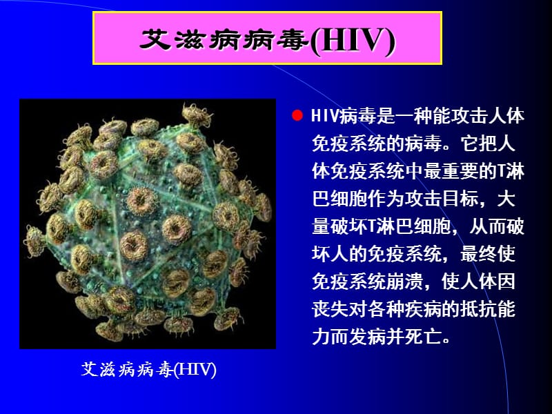 艾滋病专题讲座.ppt_第3页