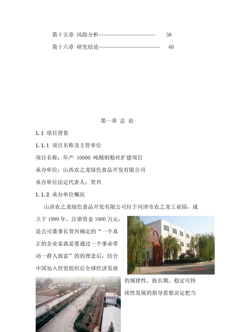 2019产万吨精制粉丝可研报告.doc_第2页