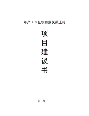 2019产1亿块粉煤灰蒸压砖项目项目建议.doc