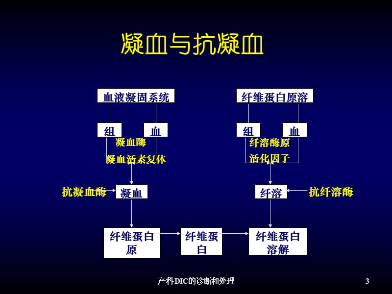 产科DIC的诊断和处理PPT课件.ppt_第3页