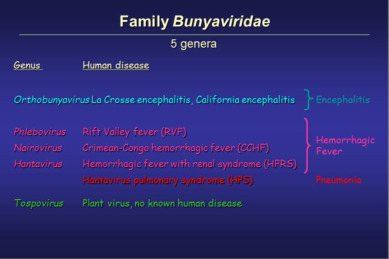 obligateanaerobes-近畿大学医学部.ppt_第3页