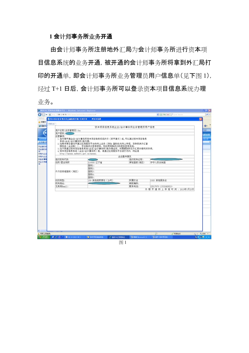 2019资本项目信息系统业务操作指南会计事务所版10版.doc_第3页