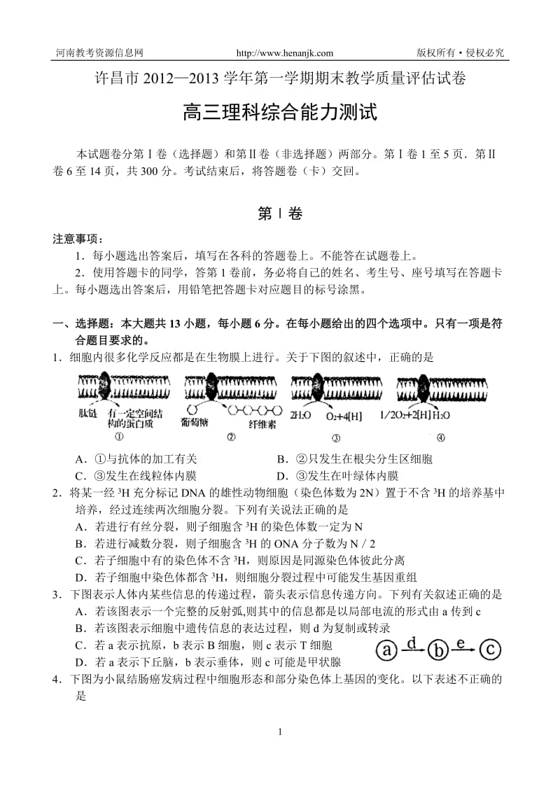 许昌市2012—2013学年第一学期高三期末教学质量评估--理科综合.doc_第1页