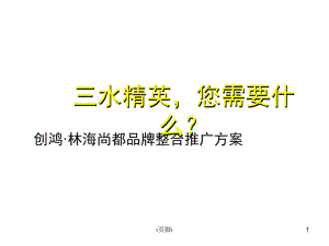 《广东三水创鸿林海尚都高层洋房品牌整合推广方案》(185页).ppt