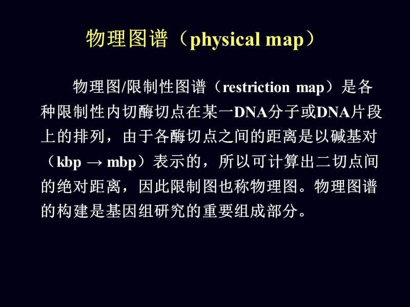 201903物理图谱与测序.ppt_第2页