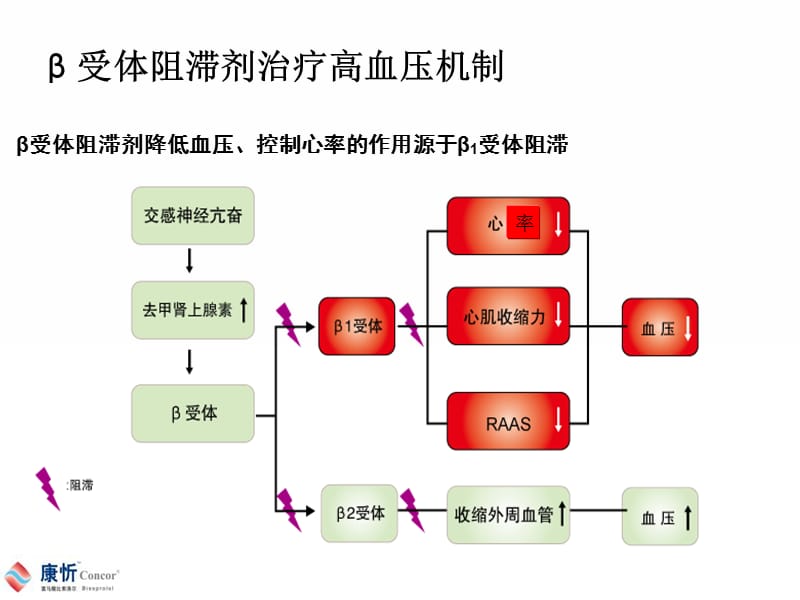 β受体阻滞剂的心脏保护作用_黄峻.ppt_第3页