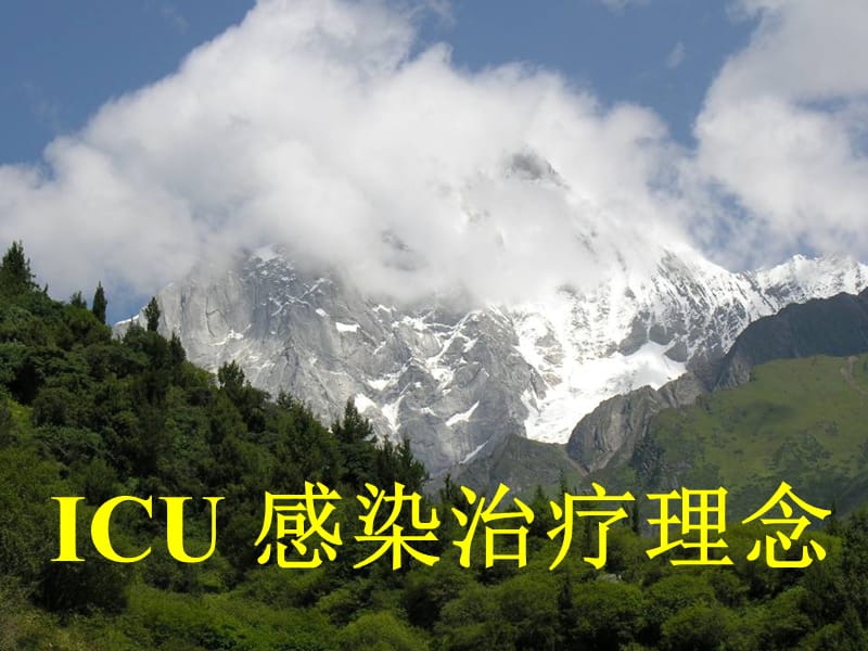 ICU 感染治疗理念（2010学习班）.ppt_第1页