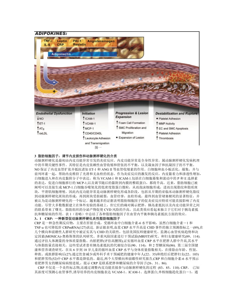 2019脂肪细胞因子.doc_第2页
