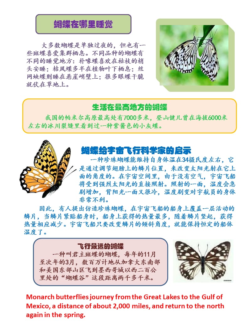 2019小学生英语阅读-蝴蝶的介绍Butterflyreading.ppt_第2页