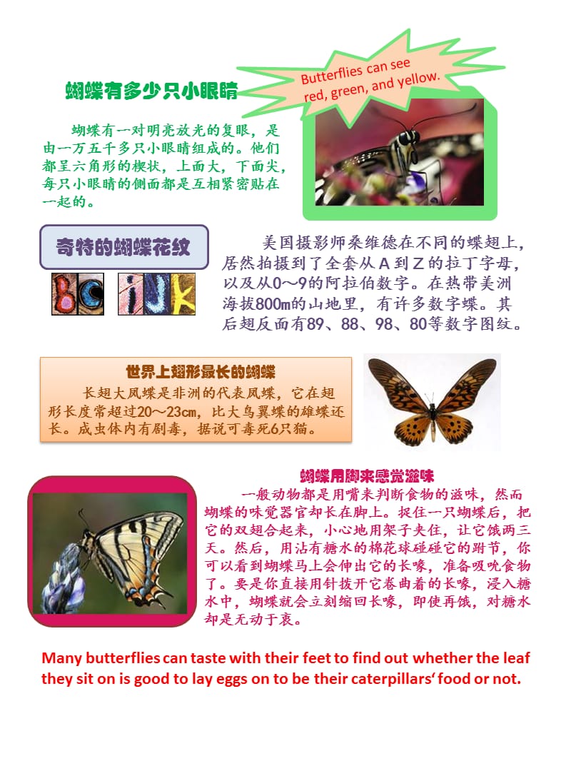 2019小学生英语阅读-蝴蝶的介绍Butterflyreading.ppt_第3页