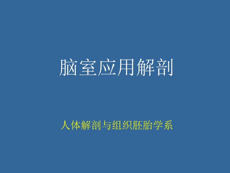 《脑室断层解剖》PPT课件.ppt_第1页