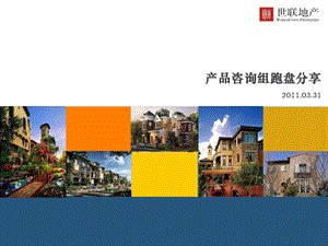 北京典型别墅案例分析2010.ppt