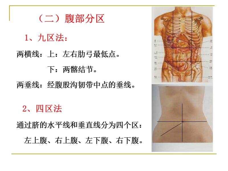 《消化系统》PPT课件.ppt_第3页