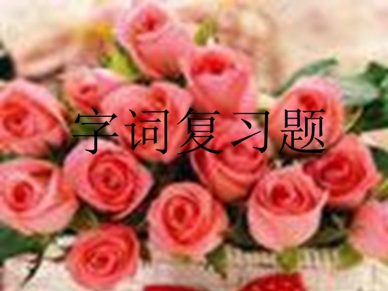 《字词复习题》PPT课件.ppt_第1页