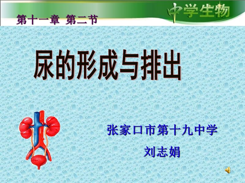 张家口市第十九中学刘志娟.ppt_第1页