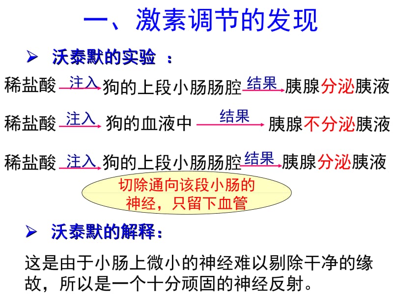 动物和人体生命活动的调部分.ppt_第2页