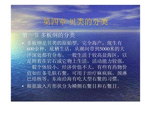 大连海洋大学精品课程贝类学 第4章 贝类的分类.ppt