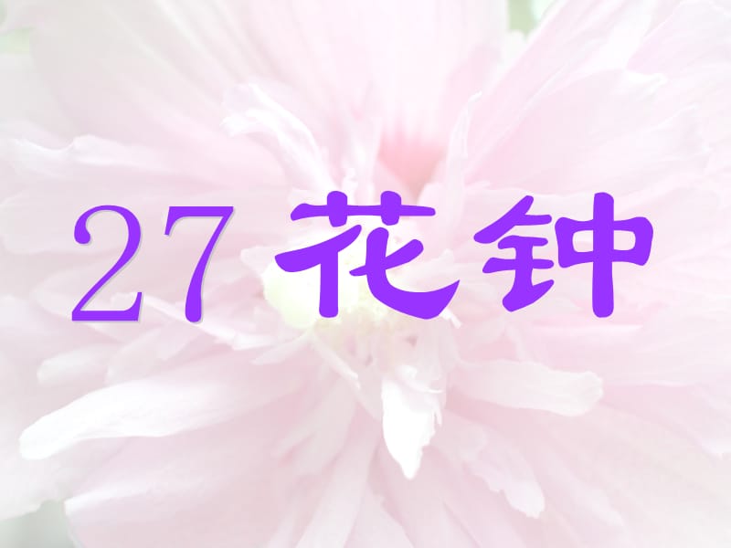 《花钟》PPT课件.ppt_第2页