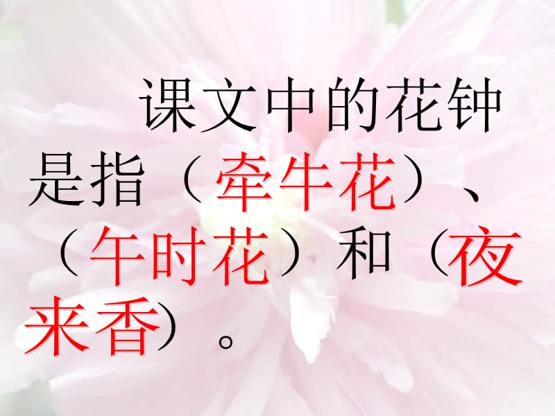 《花钟》PPT课件.ppt_第3页