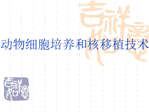 动物细胞培养W.ppt