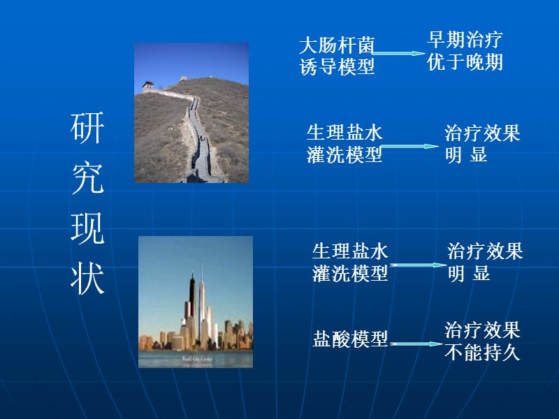 不同浓度肺泡表面活性物质肺灌洗对急性肺损伤气体交换的影响.ppt_第2页