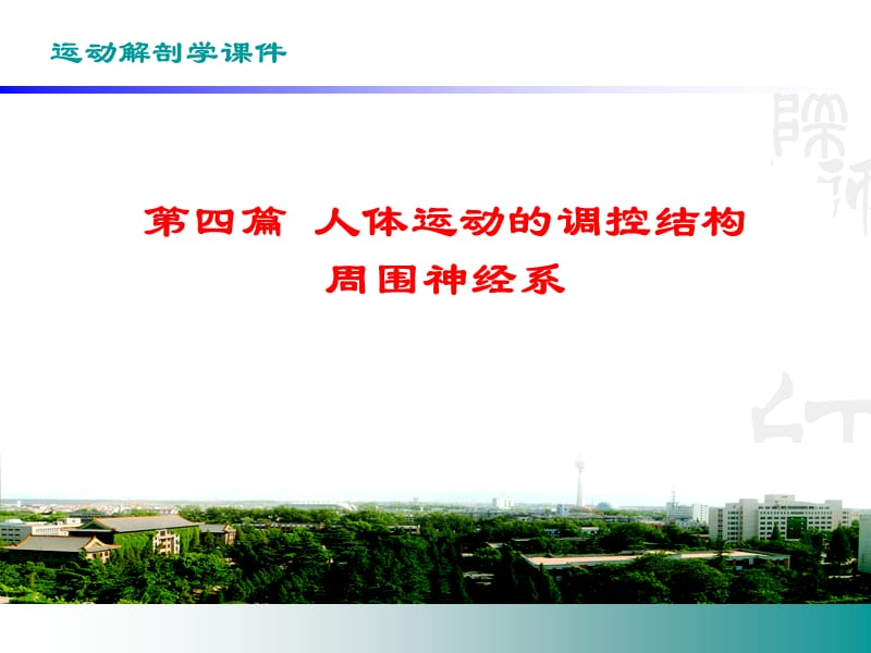 《周围神经系统》PPT课件.ppt_第1页