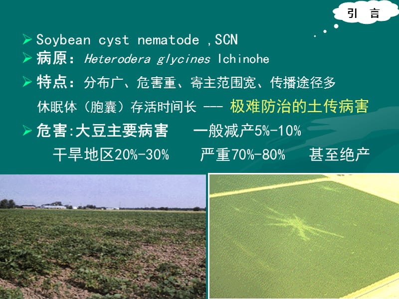 中国和美洲大豆胞囊线虫rDNAITSRFLP和ISSR分析许艳丽.ppt_第3页