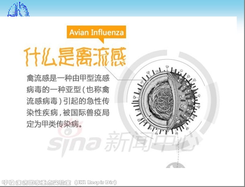 人感染H7N9禽流感诊疗方案知识培训.ppt_第2页