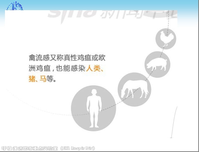 人感染H7N9禽流感诊疗方案知识培训.ppt_第3页