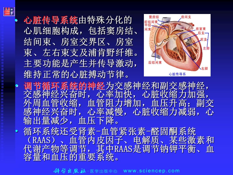 内科护理学-循环系统疾病患者的护理ppt课件.ppt_第3页