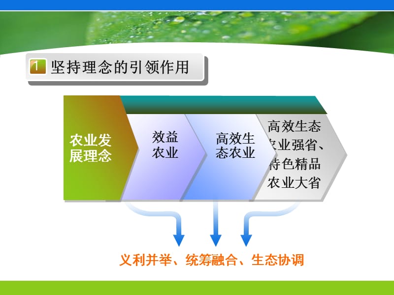 【优秀讲座课件】推进现代农业园区建设 加快农业发展方式转变（下）.ppt_第3页