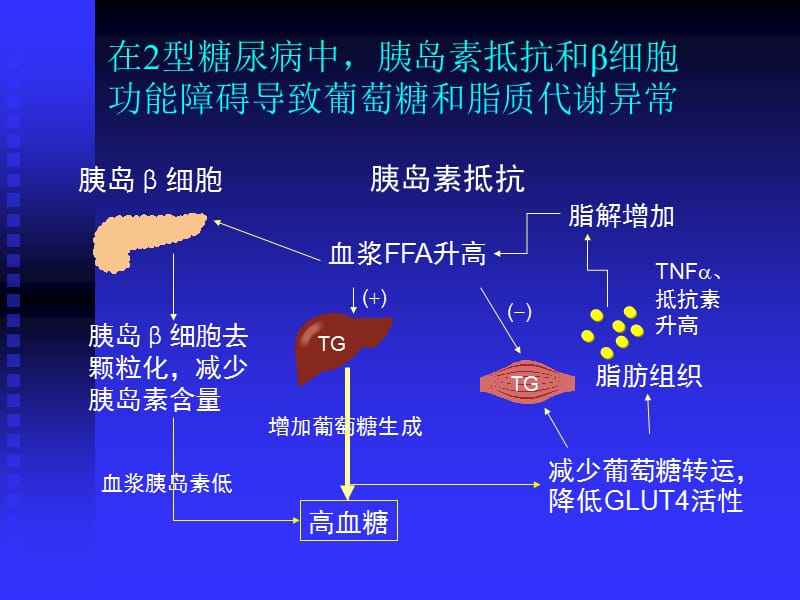 从对2型糖尿病的再认识谈防治的新思考.ppt_第3页